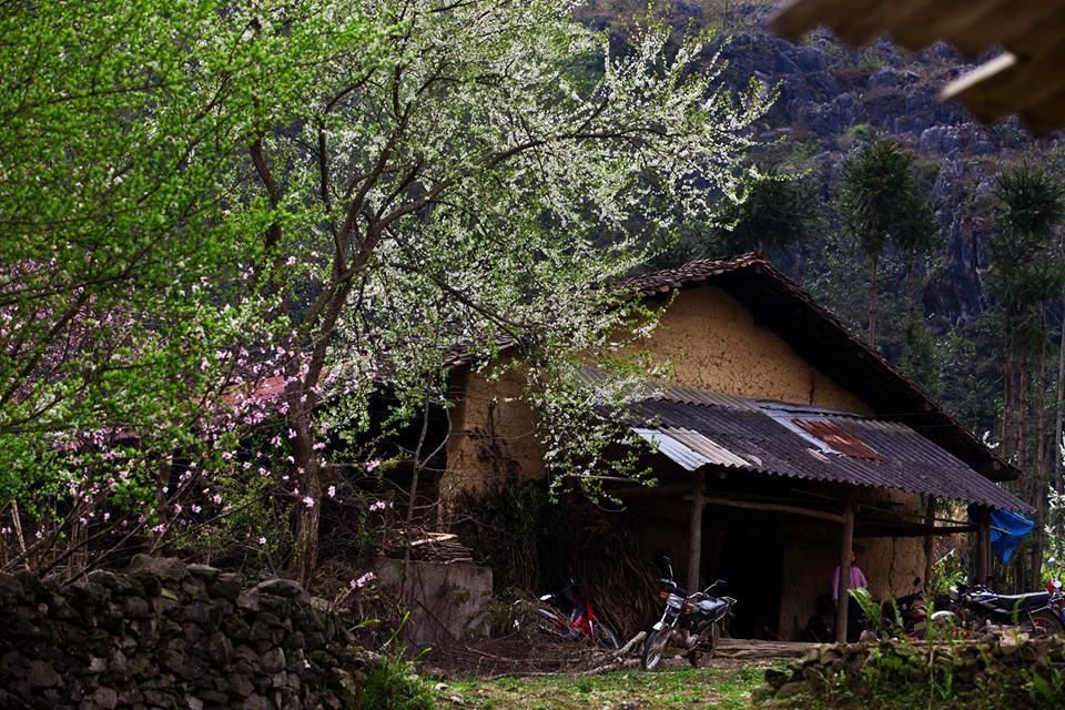 Tam Giac Mach Hotel Ha Giang Extérieur photo